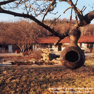 Gourd Birdhouse