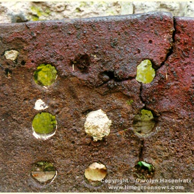 Part of Iron Furnace