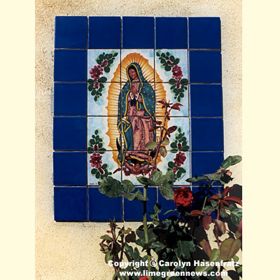 Our Lady of Guadalupe