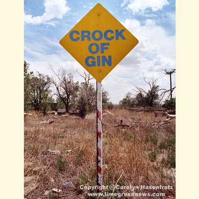 Crock of Gin