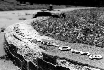 shapes on curved ledge