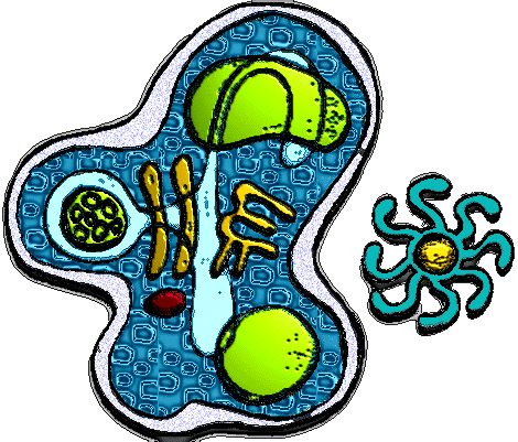 Cell for World of Groove