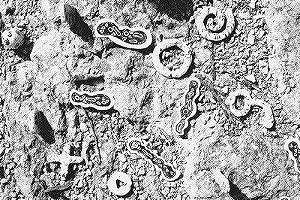 Mark and Carolyn's shapes together