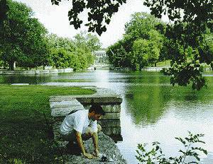 another view of Mark