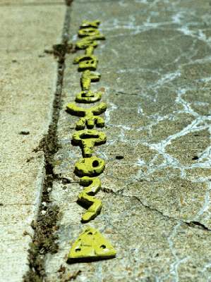 Carolyn's shapes on concrete